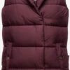 Navahoo Bodywarmers Bodywarmer Madilynaa Dames Bordeaux 1 Navahoo Bodywarmers Bodywarmer Madilynaa Dames Bordeaux -Navahoo 2d7c2f32843caa26af7e3535c1b64857