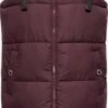 Navahoo Bodywarmers Bodywarmer Dames Bordeaux